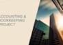 remote  accountant ,bookkeeper and forensic auditor